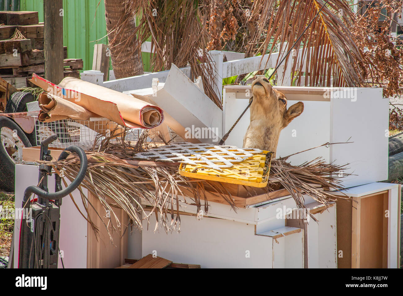 Goodland Florida after Hurricane Irma struck showing damage and