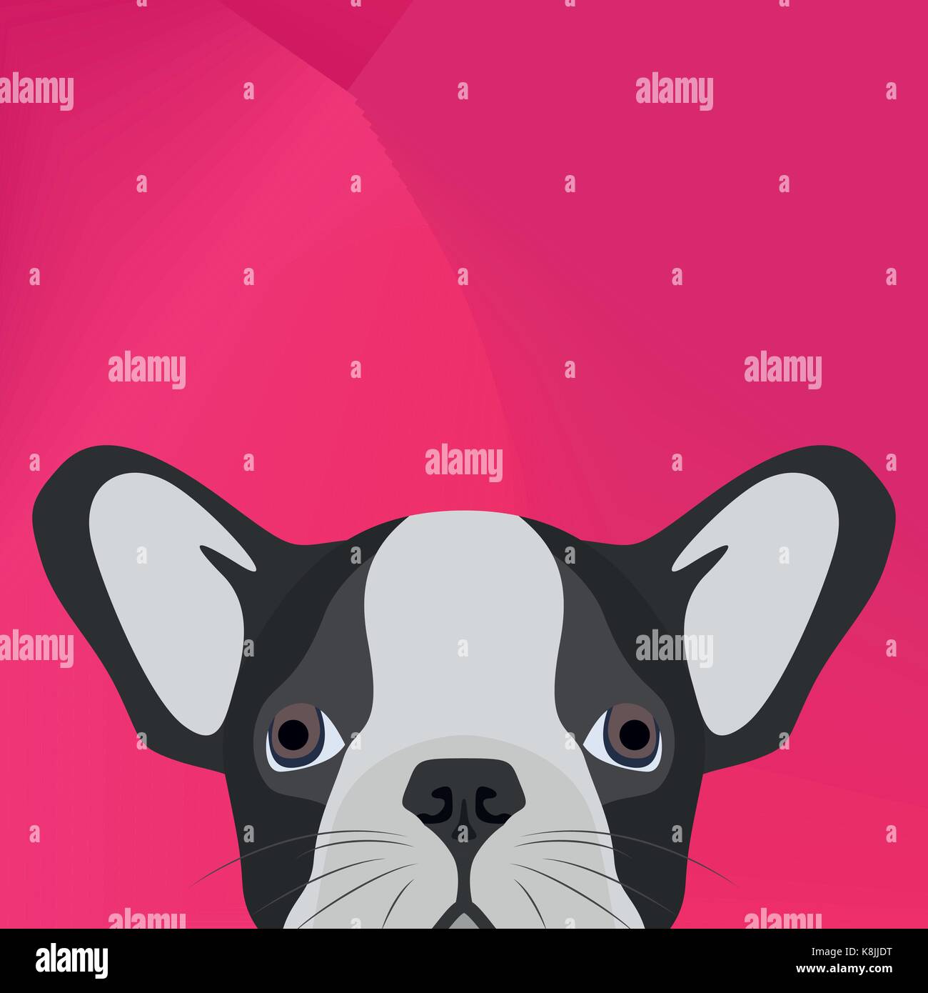 Illustration Dog English bulldog looking over wall for the creative use in graphic design Stock Vector