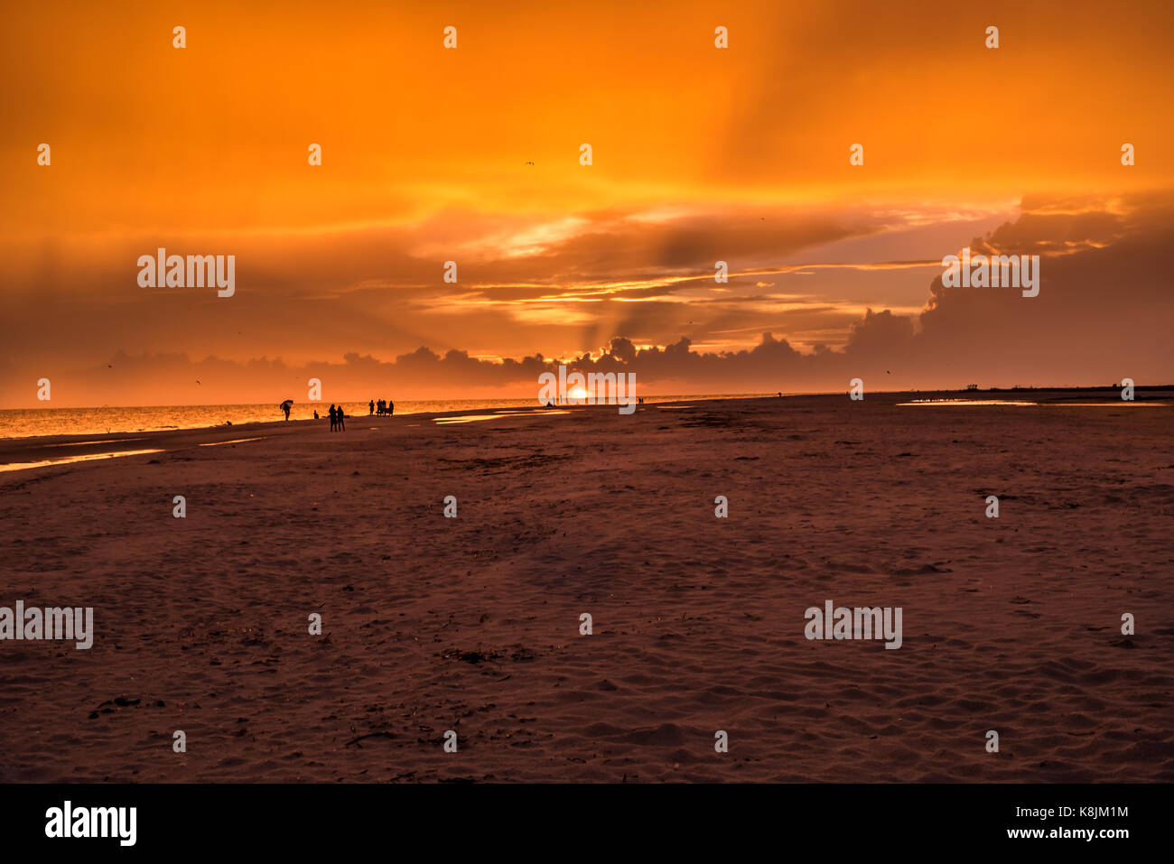 sunset at the beach with silhouettes Stock Photo - Alamy