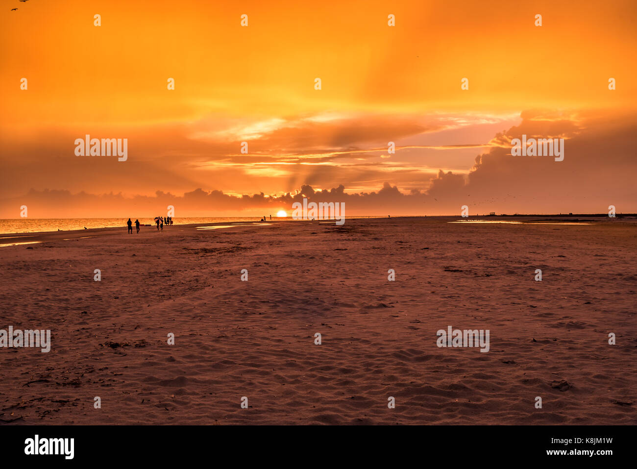 sunset at the beach with silhouettes Stock Photo - Alamy