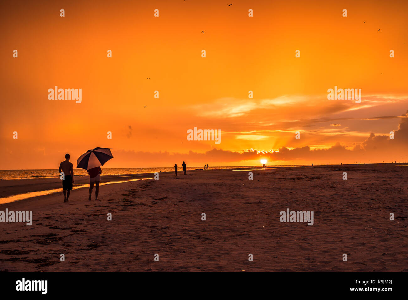 sunset at the beach with silhouettes Stock Photo - Alamy