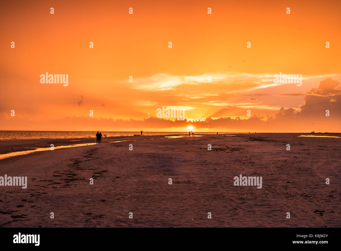 sunset at the beach with silhouettes Stock Photo - Alamy