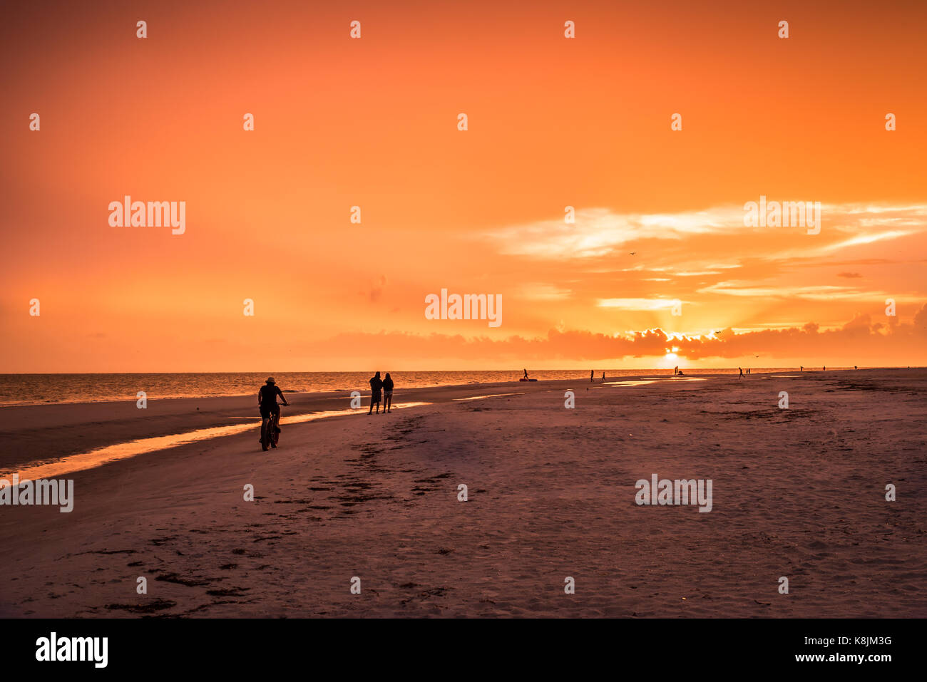 sunset and silhouettes at the beach Stock Photo - Alamy