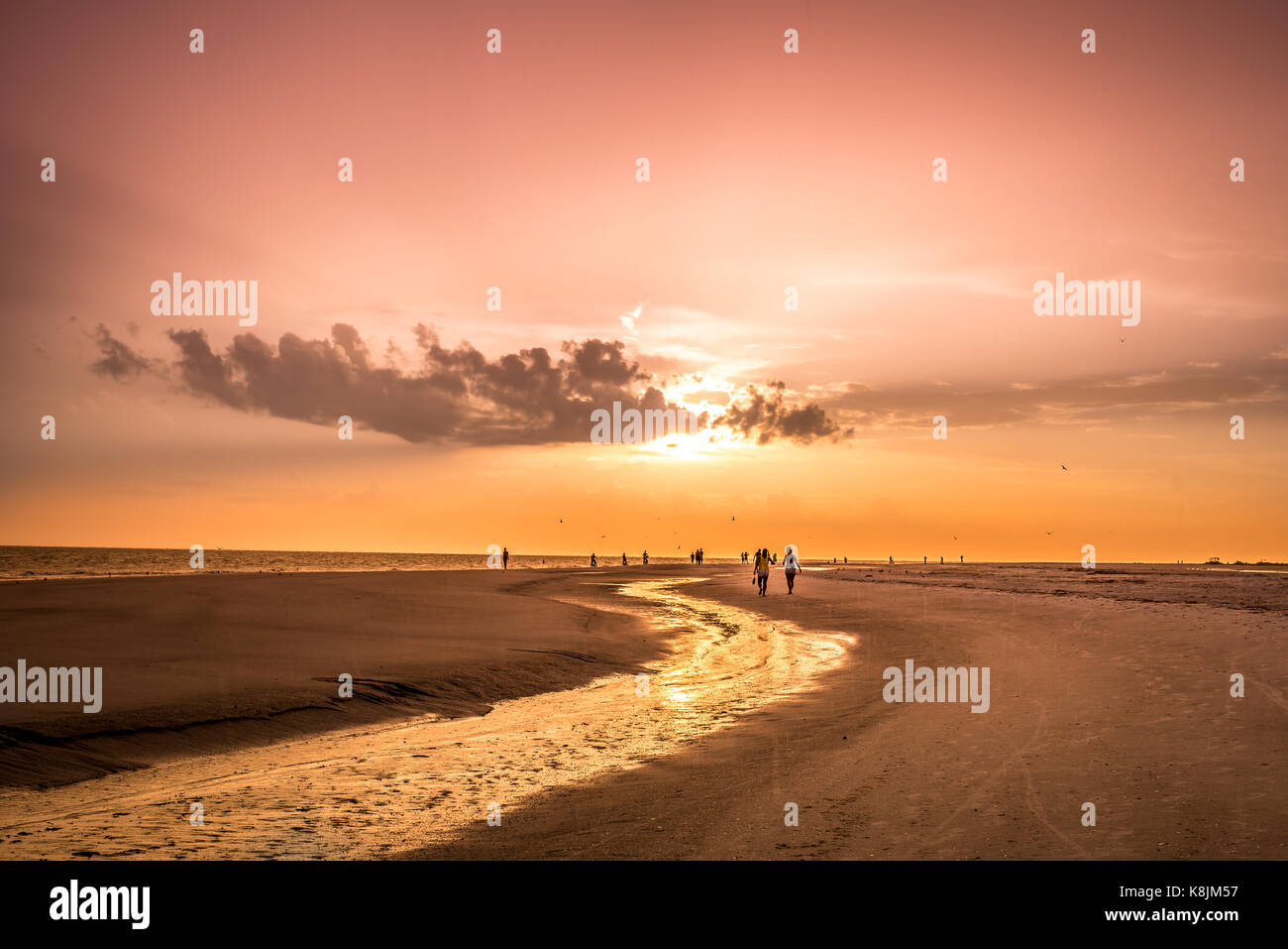 sunset and silhouettes at the beach Stock Photo - Alamy