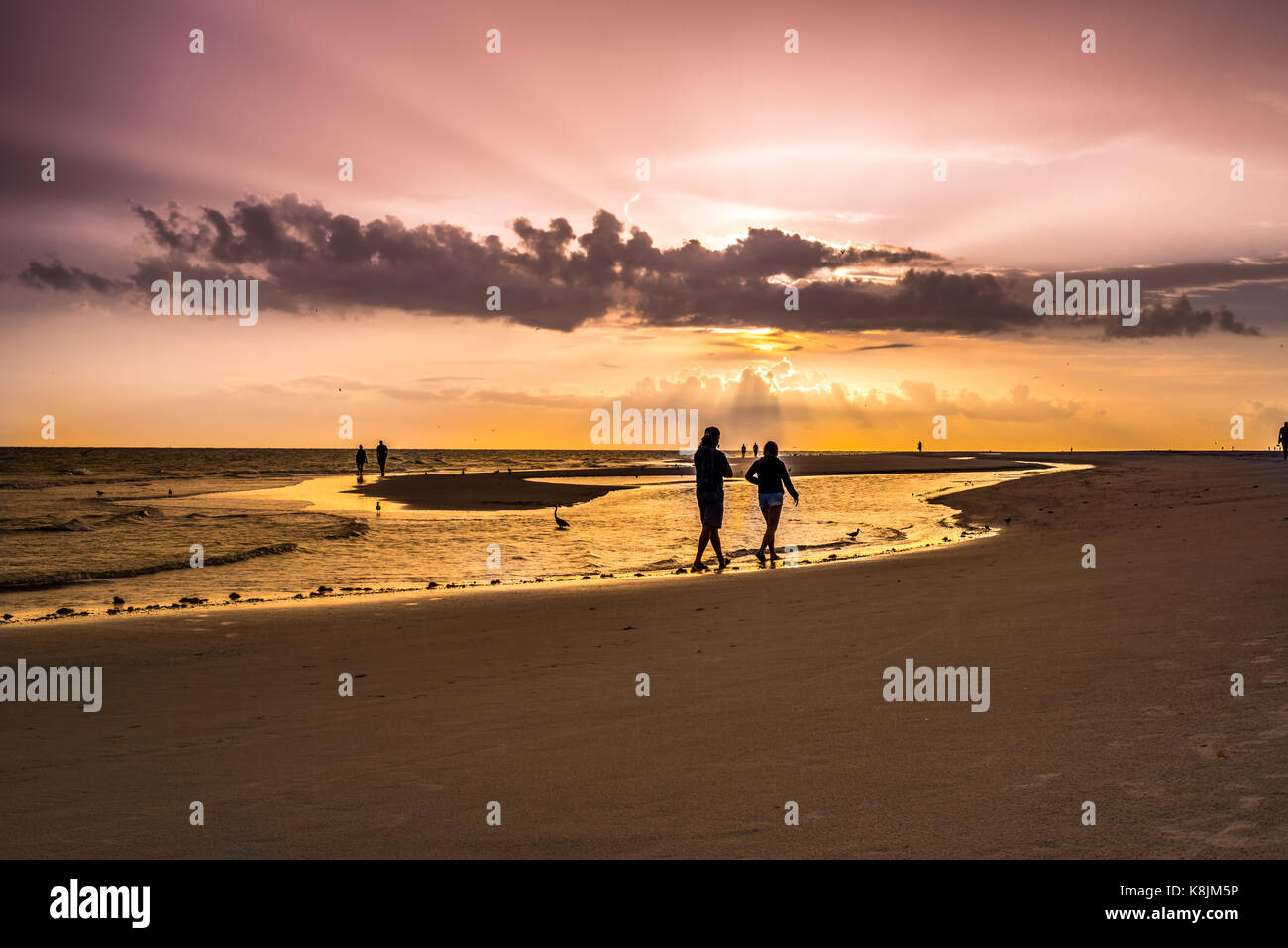 sunset and silhouettes at the beach Stock Photo - Alamy