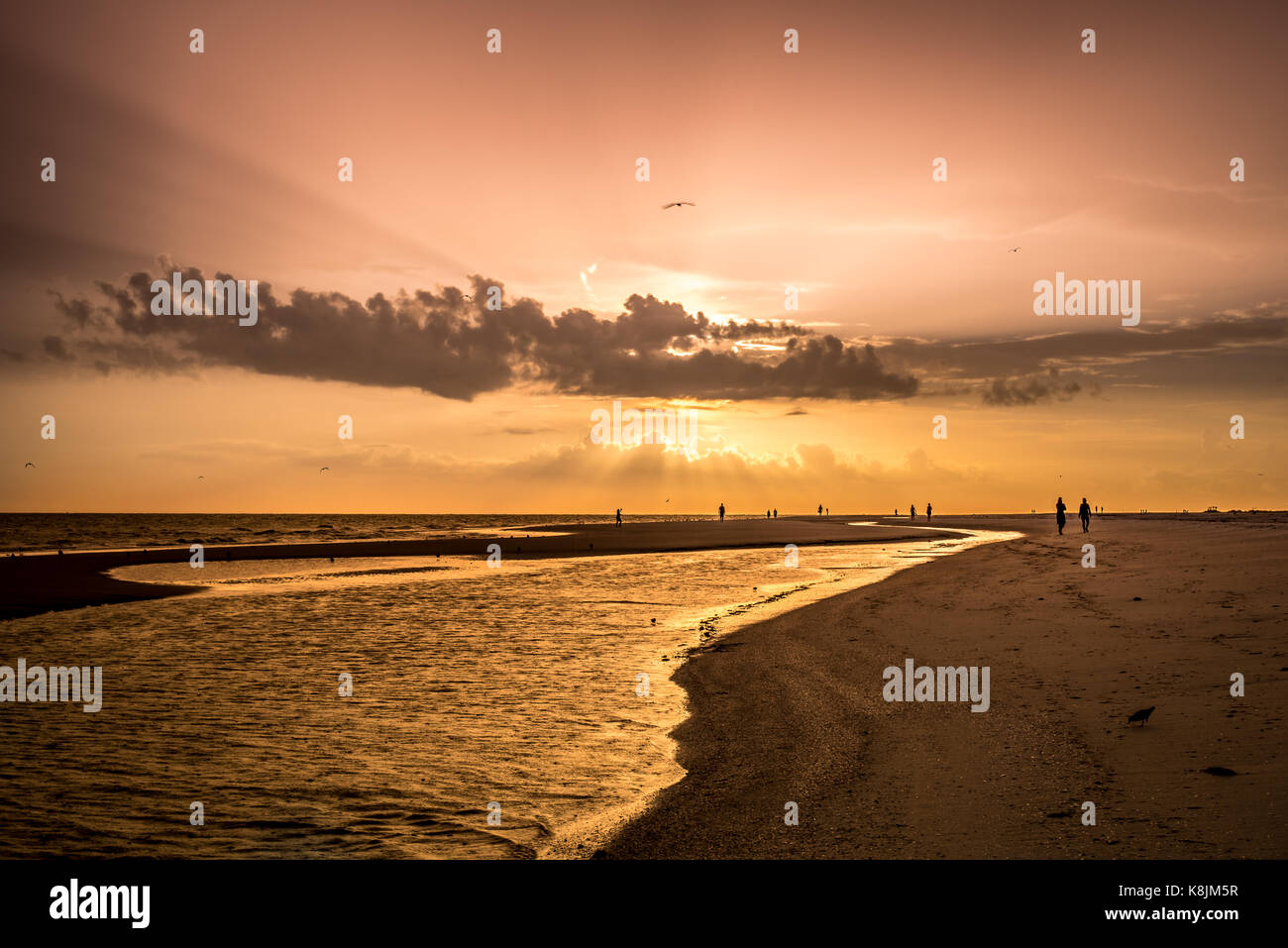 sunset and silhouettes at the beach Stock Photo - Alamy