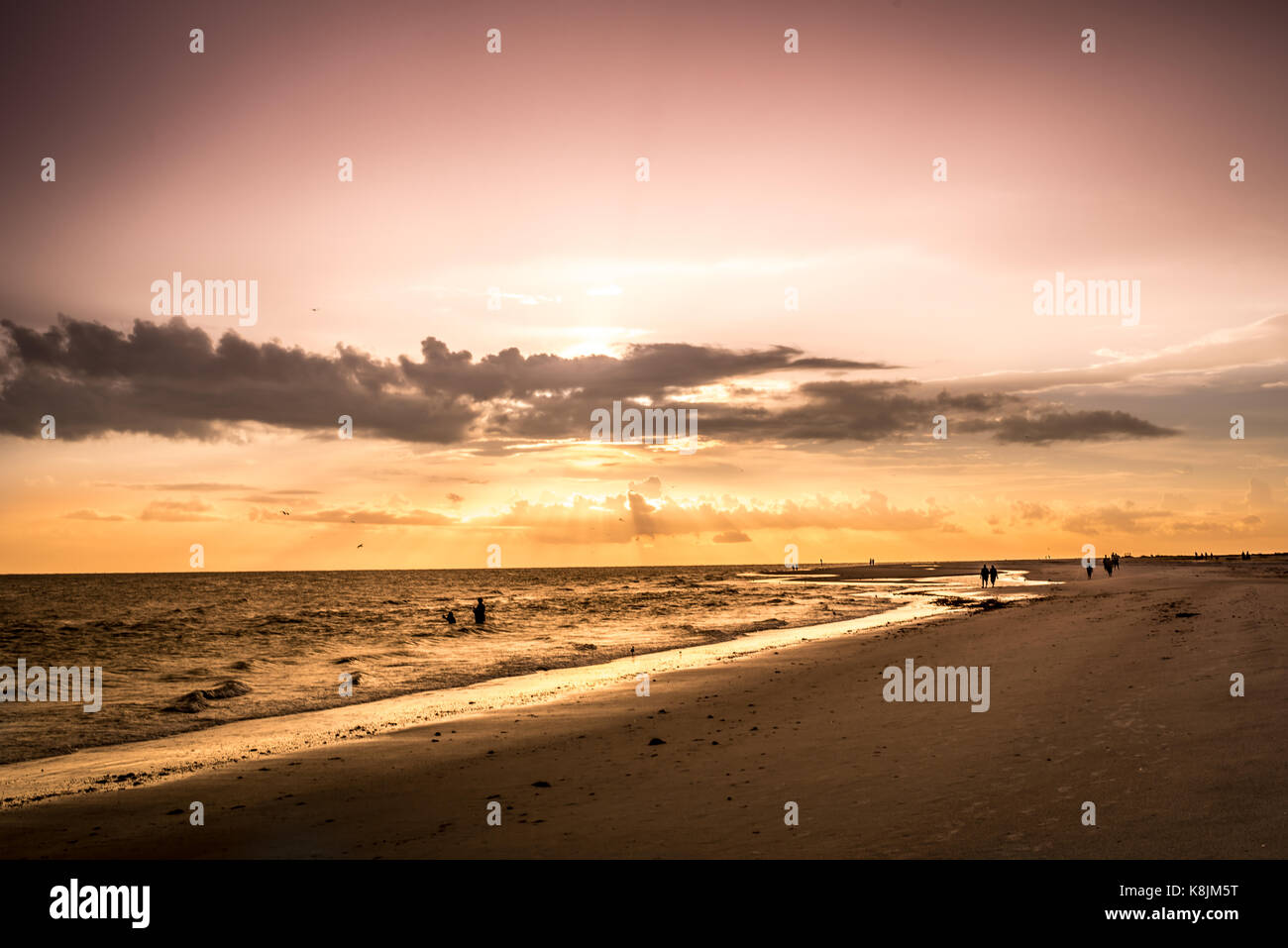 sunset and silhouettes at the beach Stock Photo - Alamy