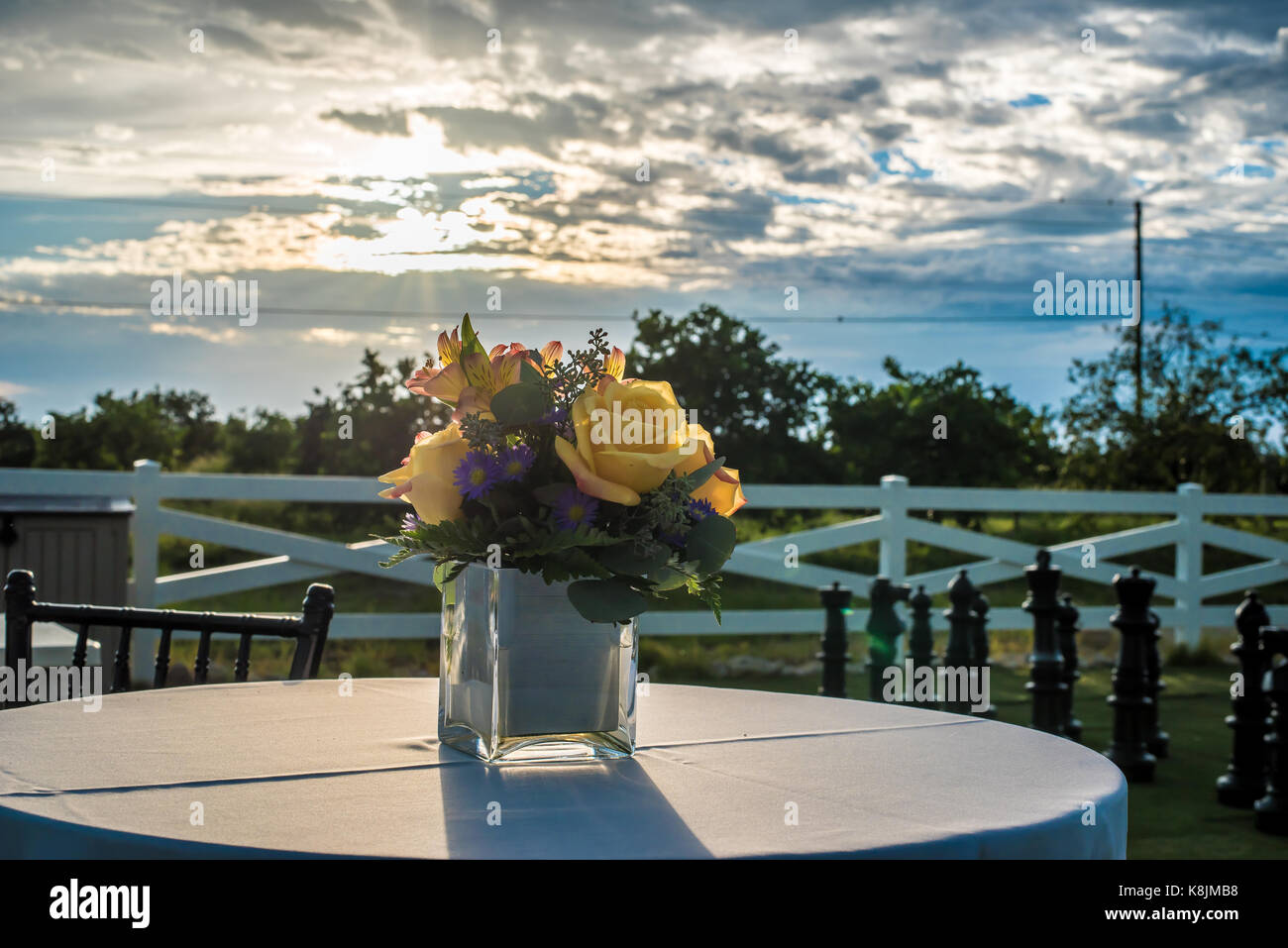 flower vase on the table at sunset Stock Photo Alamy