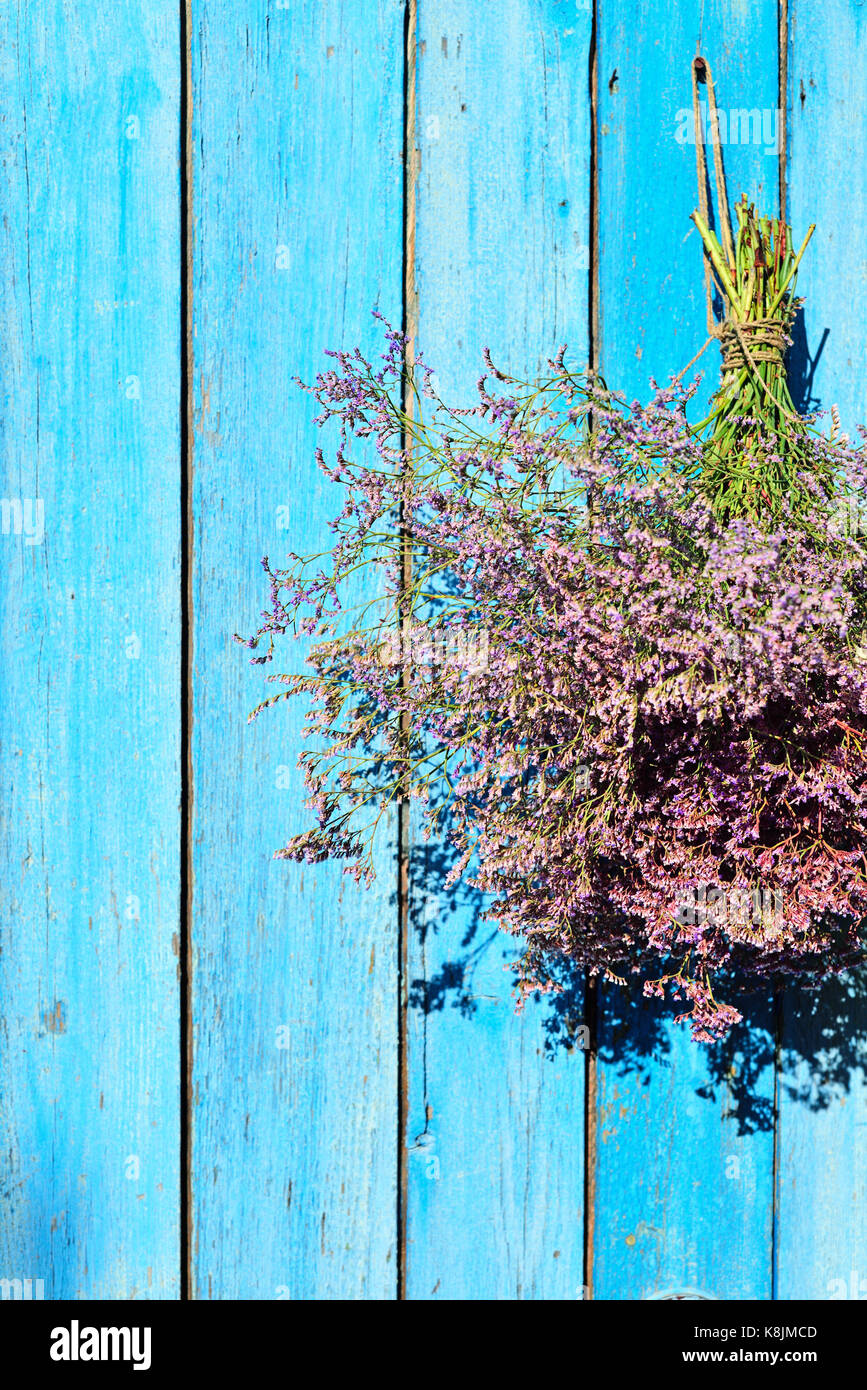 bouquet Limonium hanging on a wooden blue wall, empty space on the left Stock Photo