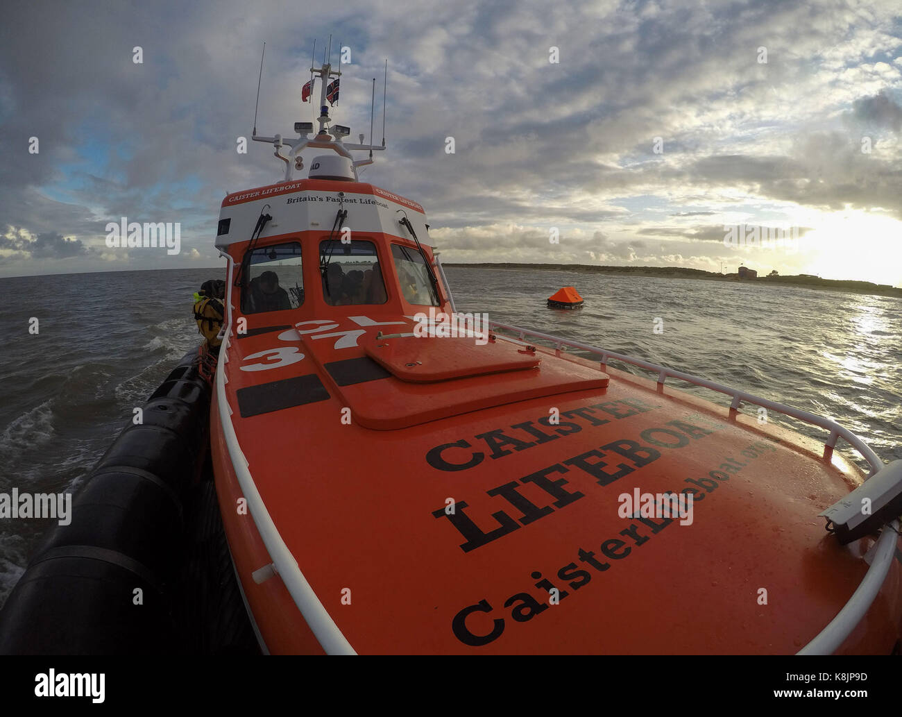 Crew Rescues Exhausted Barn Owl 70 Miles Off UK Coast Crew Rescues Exhausted Barn Owl 70 Miles Off UK Coast
