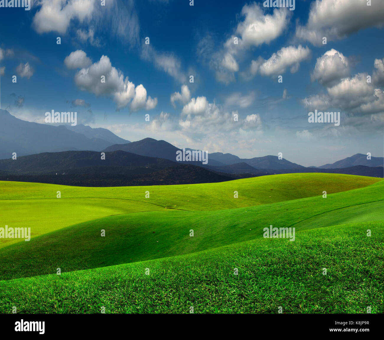 Green mountain meadow hi-res stock photography and images - Alamy