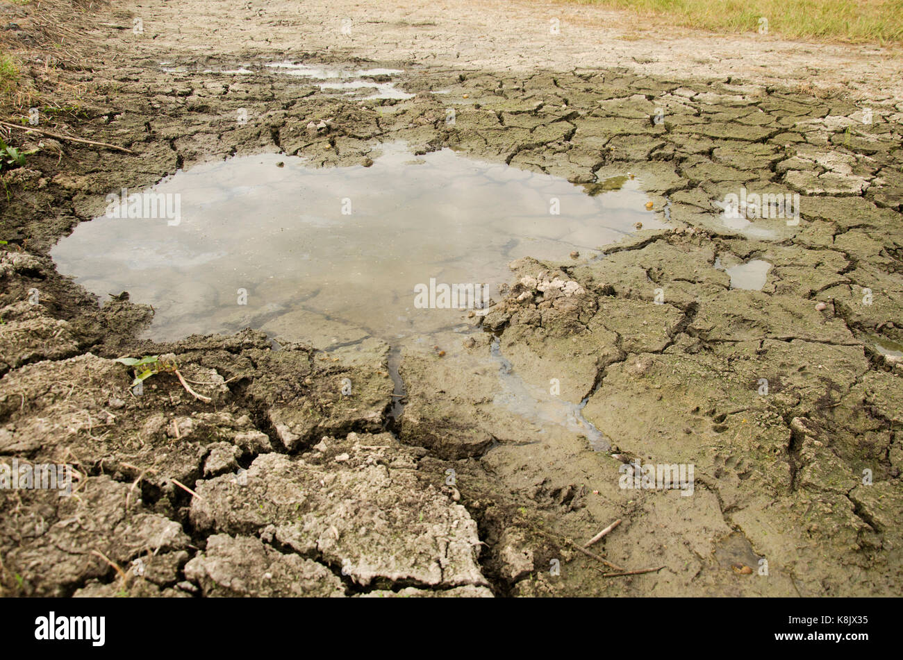Waterless in puddle at desert land because drought disaster in