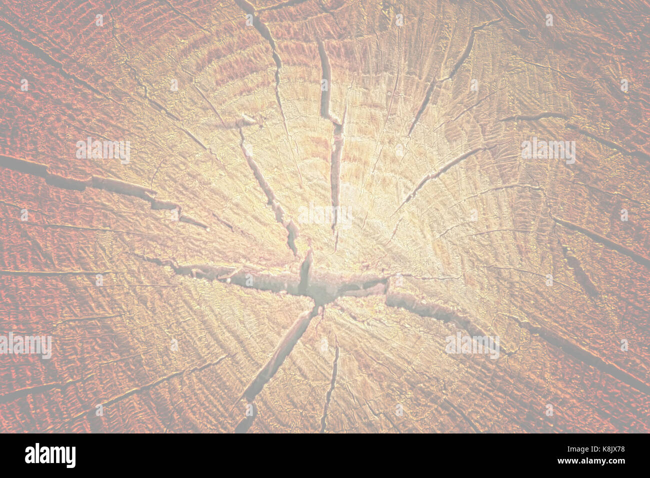 The old wood texture with natural patterns and cracks on the surface as ...