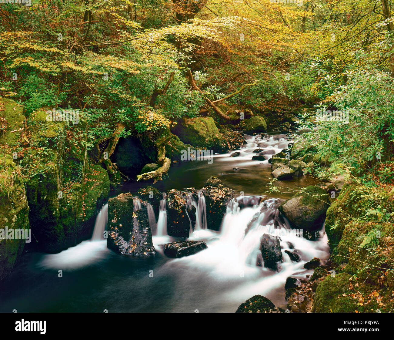 Torrent walk wales hi-res stock photography and images - Alamy