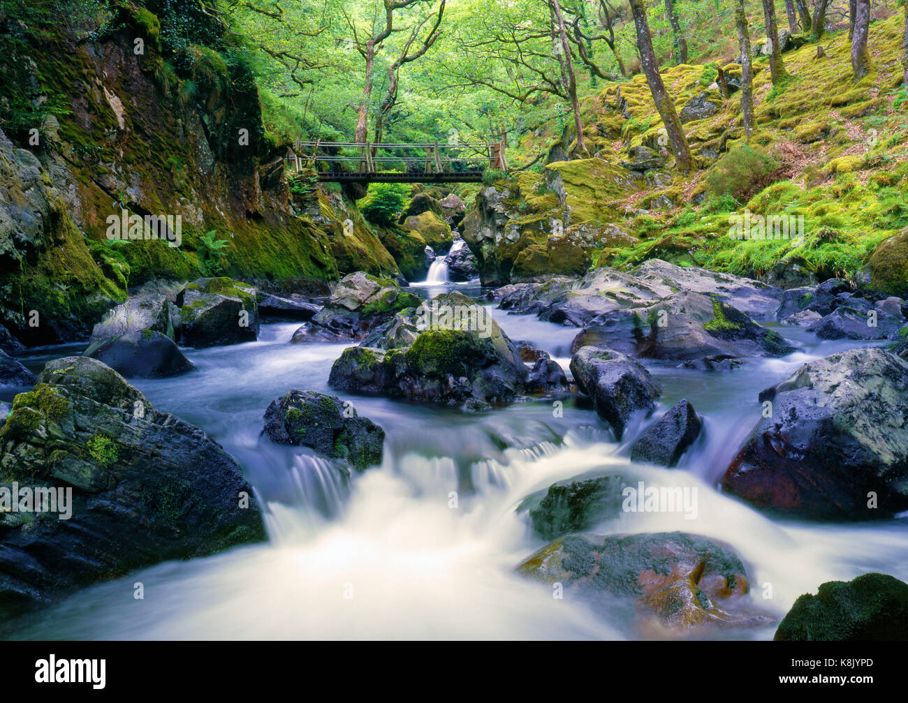 A summer view of the fast flowing Afon Goedol in Snowdonia National Park, North Wales Stock Photo