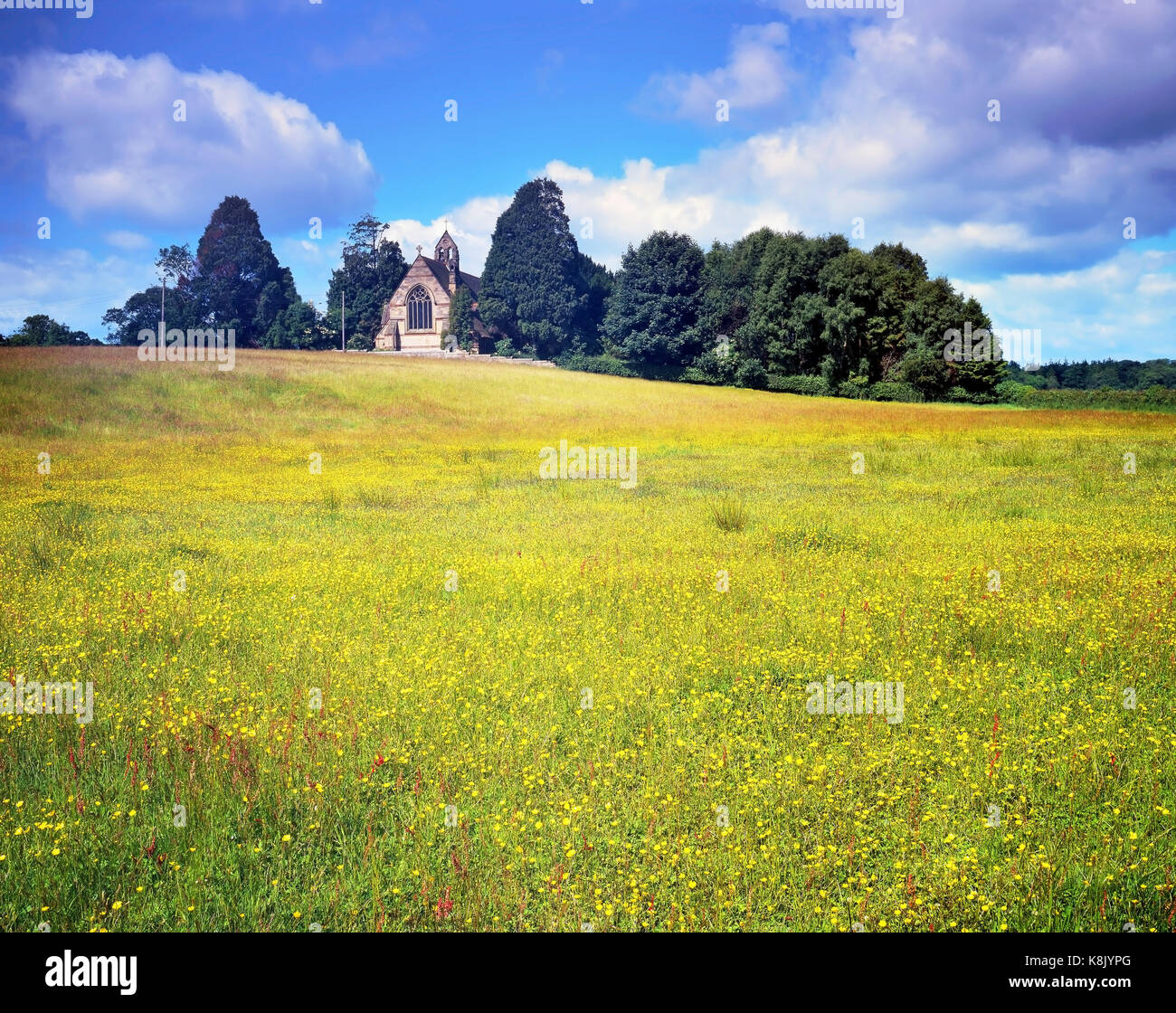 A summer view across a Shropshire hay meadow towards an attractive group of trees and rural church. Stock Photo