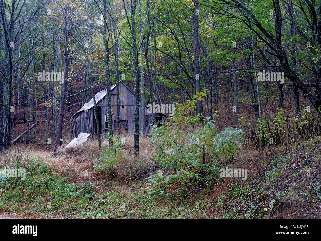 A view of an isolated cabin in a remote part of rural Georgia, USA Stock Photo