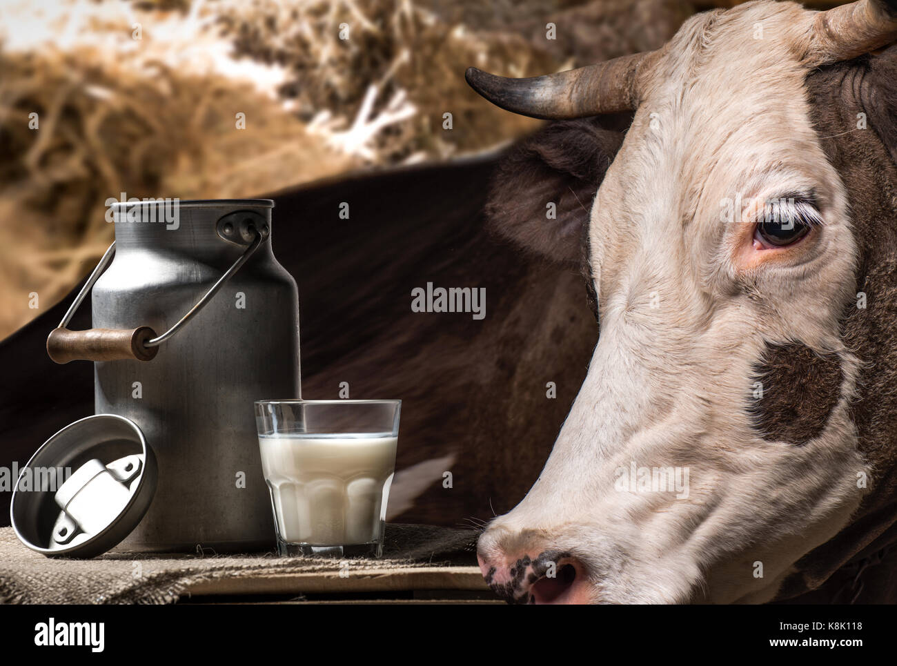 Молоко нету коровы. Молоко нету коровы. Молочная продукция с коровой красной. Молоко нету коровы. Молоко нету коровы.