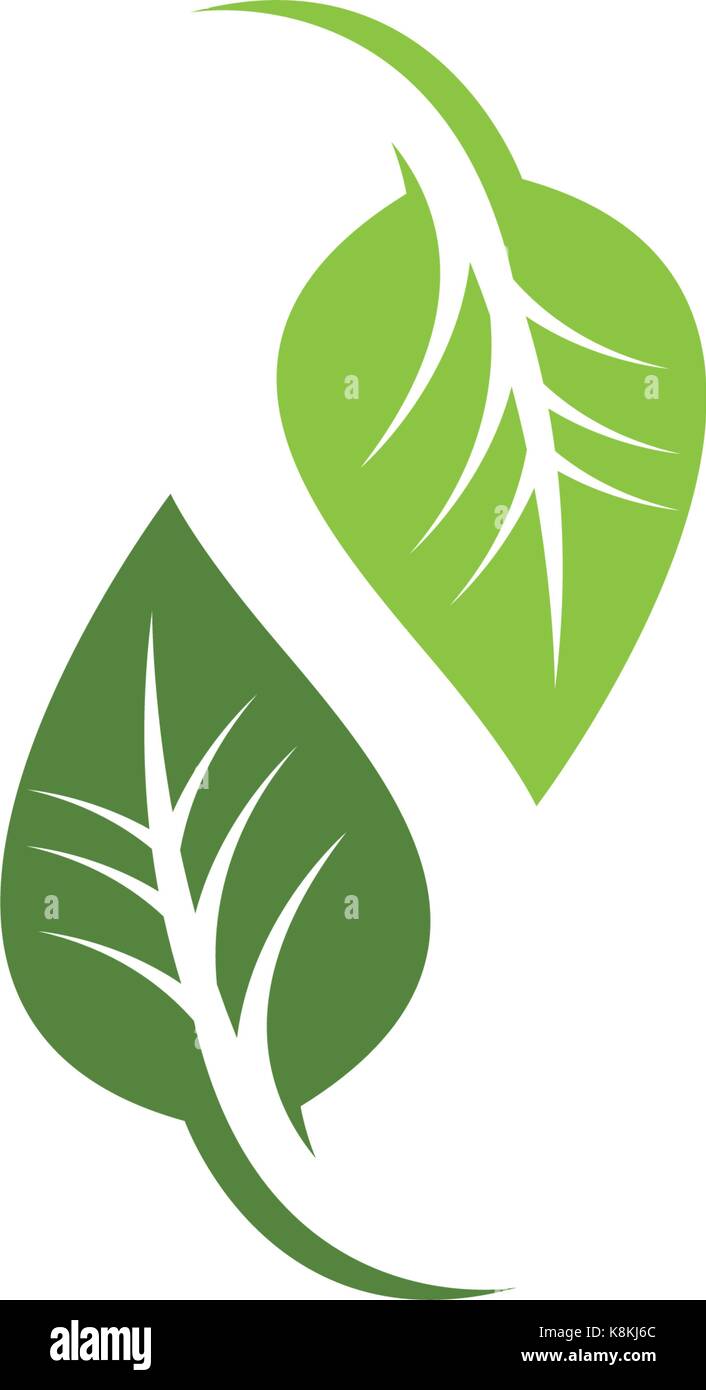 Logos of green tree leaf ecology nature element vector icon Stock ...