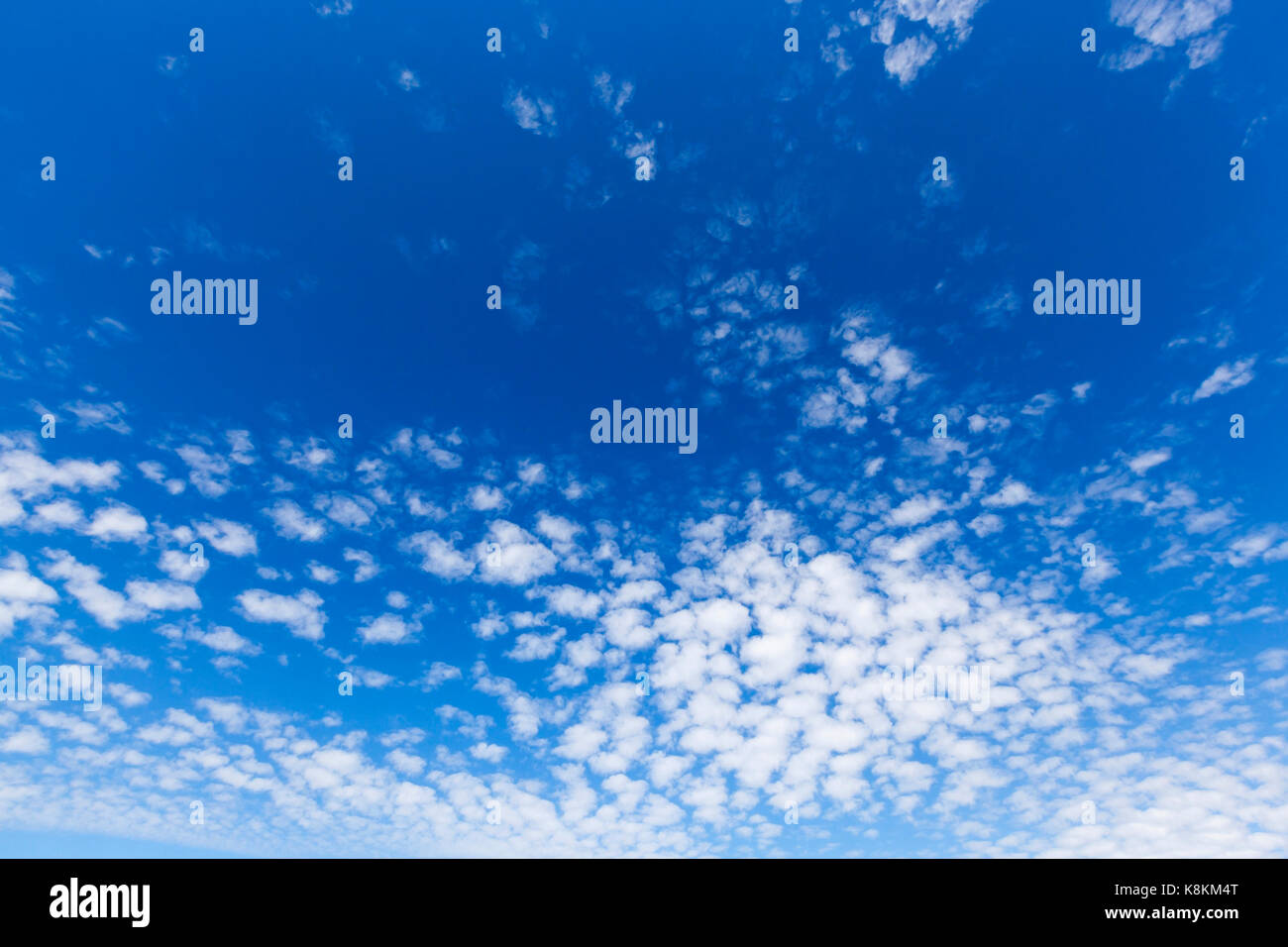 High clouds of white in the blue sky Stock Photo - Alamy
