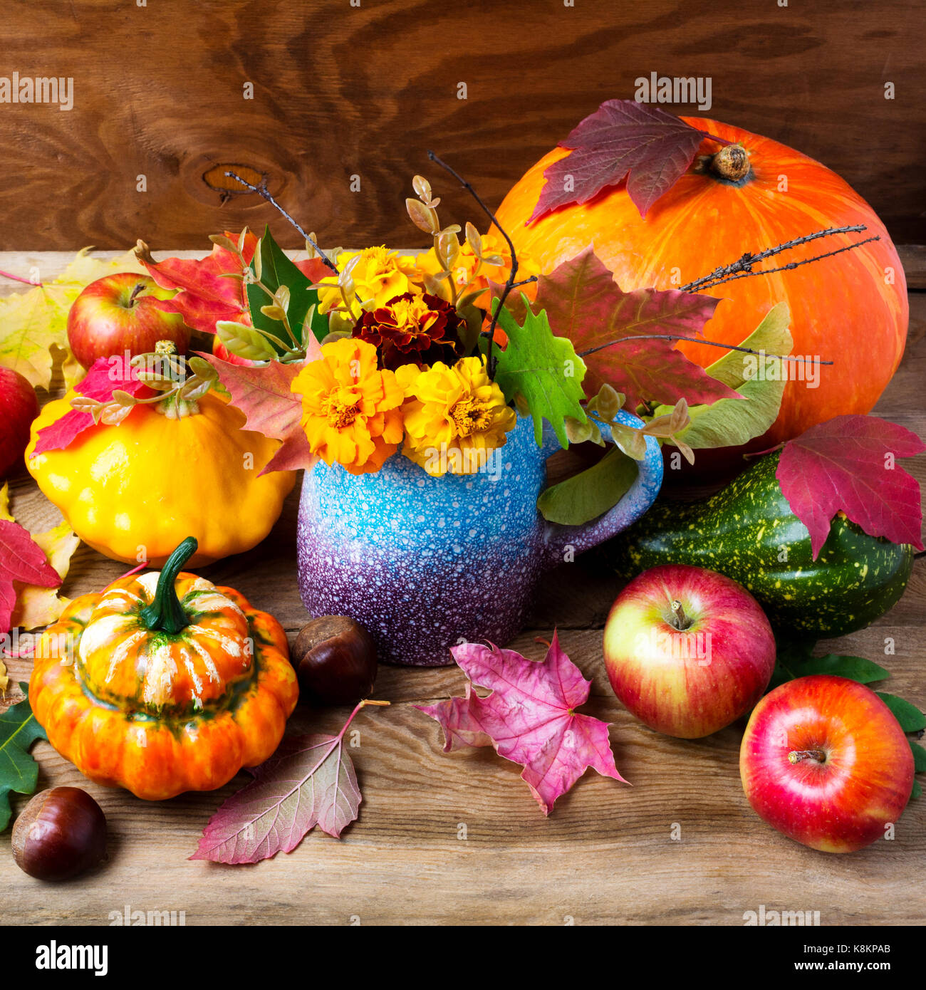 Thanksgiving fall centerpiece pumpkins hi res stock photography and