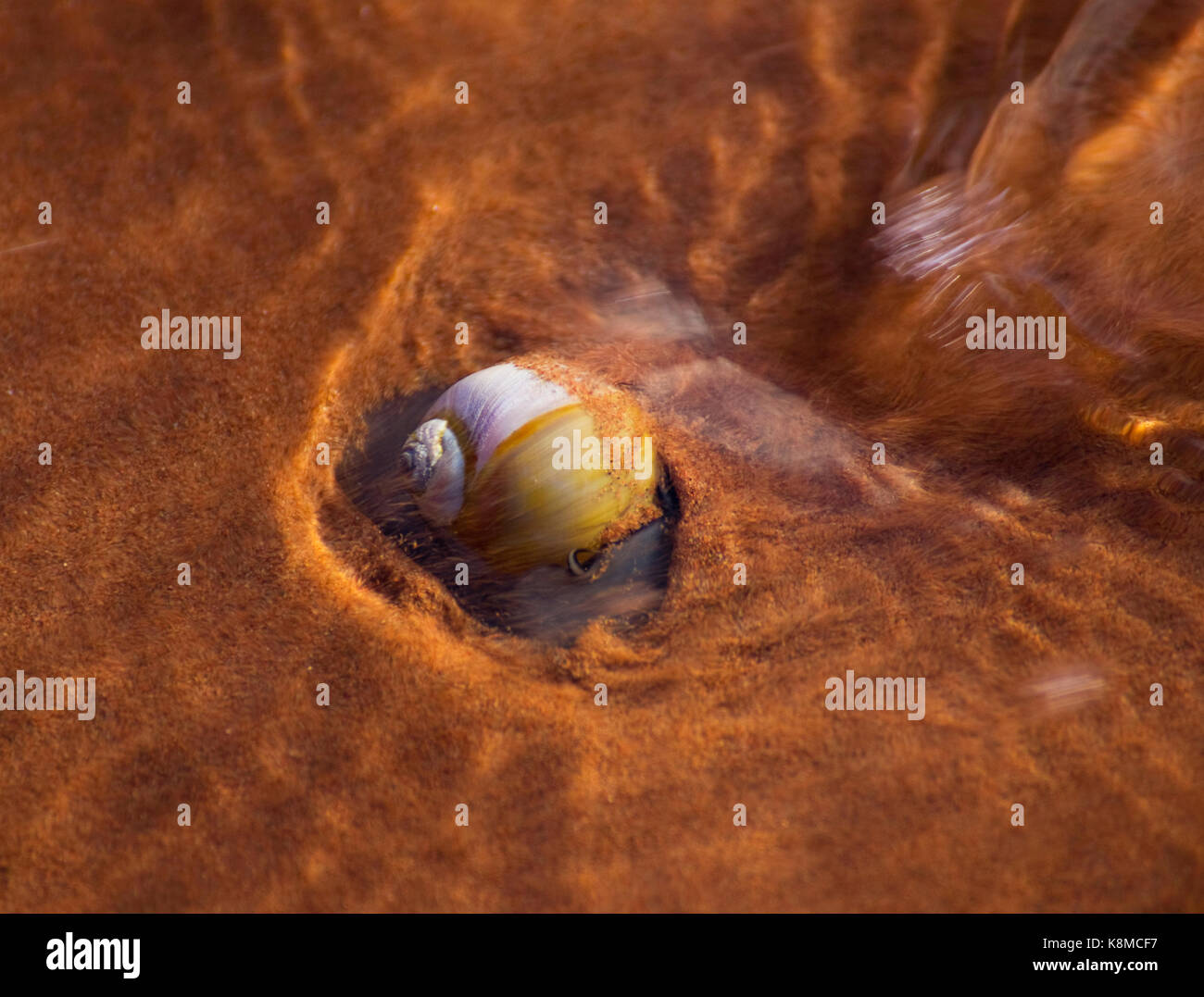 Ripple current hi-res stock photography and images - Alamy