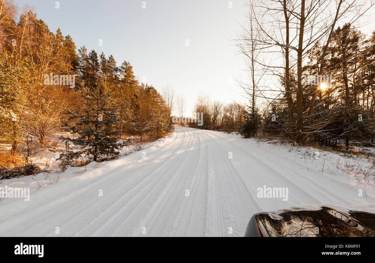The road in the forest covered with snow and rutted ruts. photo in the ...