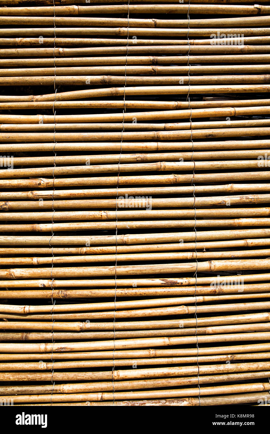 natural bamboo blind asia style Covering a window Stock Photo