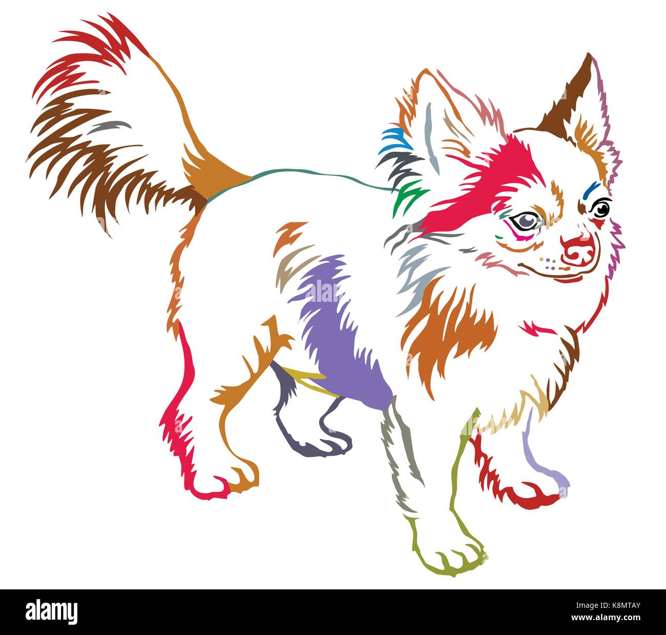 Colorful contour decorative portrait of standing in profile dog long-haired Chihuahua, vector isolated illustration on white background Stock Vector
