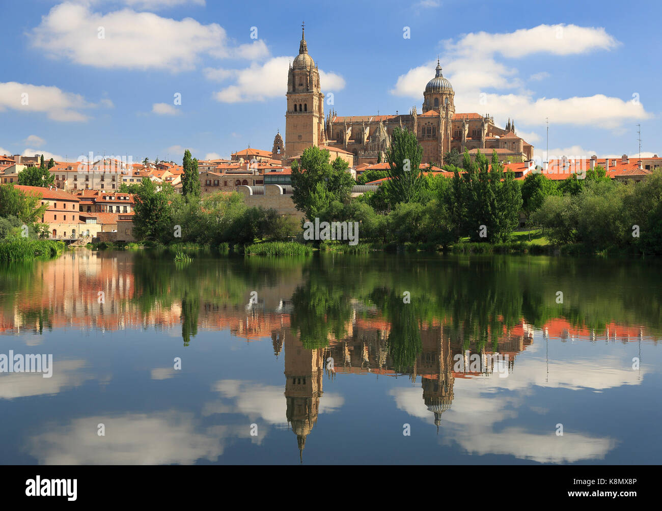 Salamanca Old and New Cathedrals reflected on Tormes River Stock Photo