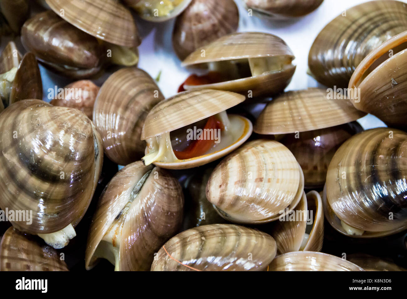 fresh clams seafood Stock Photo Alamy