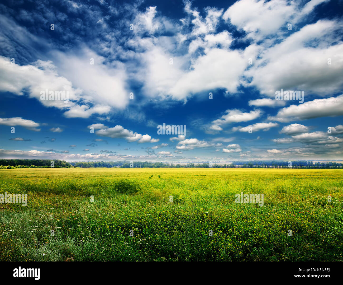 green field and blue sky with light clouds Stock Photo - Alamy