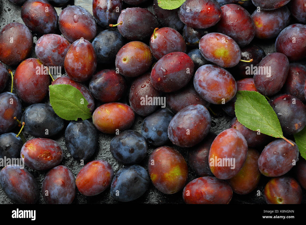 harvest of local plums, food background Stock Photo