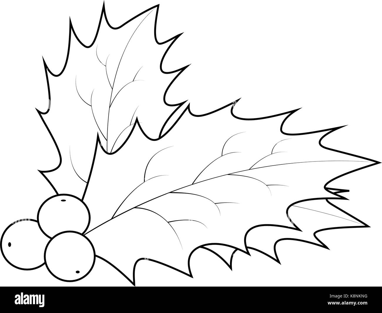 Holly Leaf Coloring Page