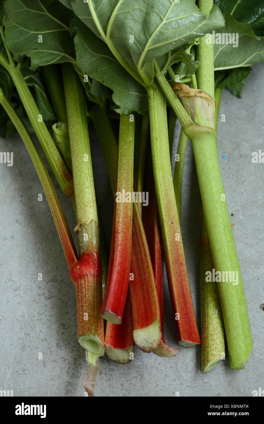 Organic rhubarb on concrete, food top view Stock Photo Alamy