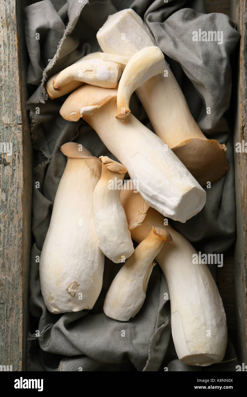 King oysters mushrooms in crate, food top view Stock Photo Alamy