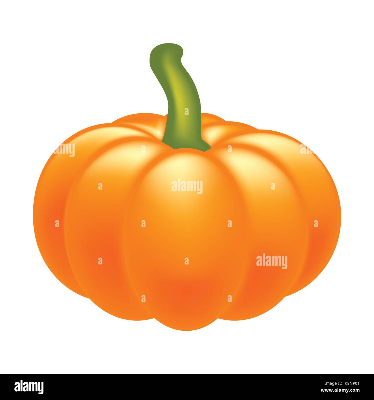 Halloween pumpkin realistic vector illustration isolated on white ...