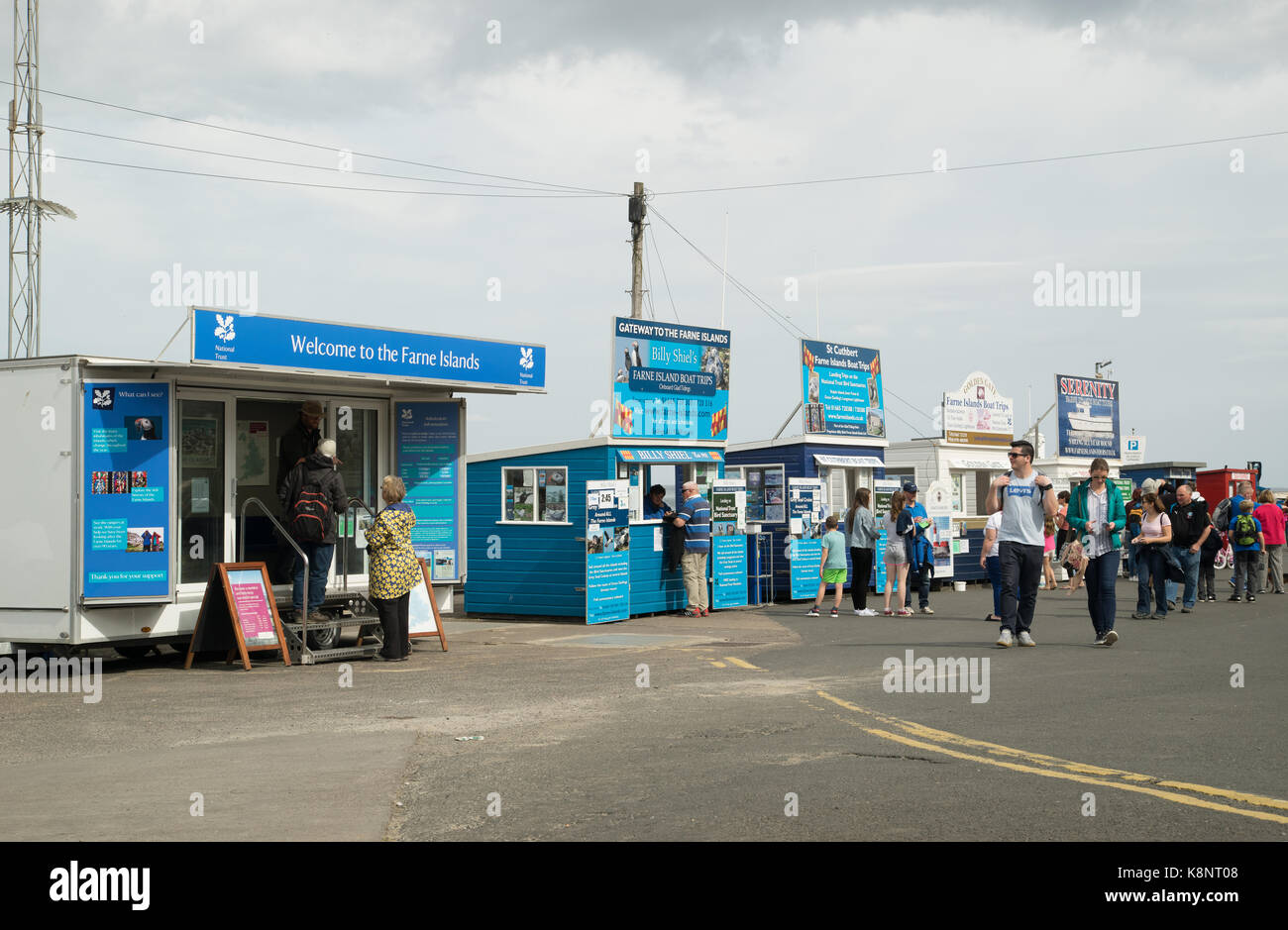 Farne Island boat trip booking offices in Seahouses harbour, Northumberland, England Stock Photo