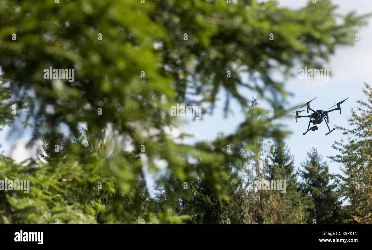 Drone flies above forest hi-res stock photography and images - Alamy