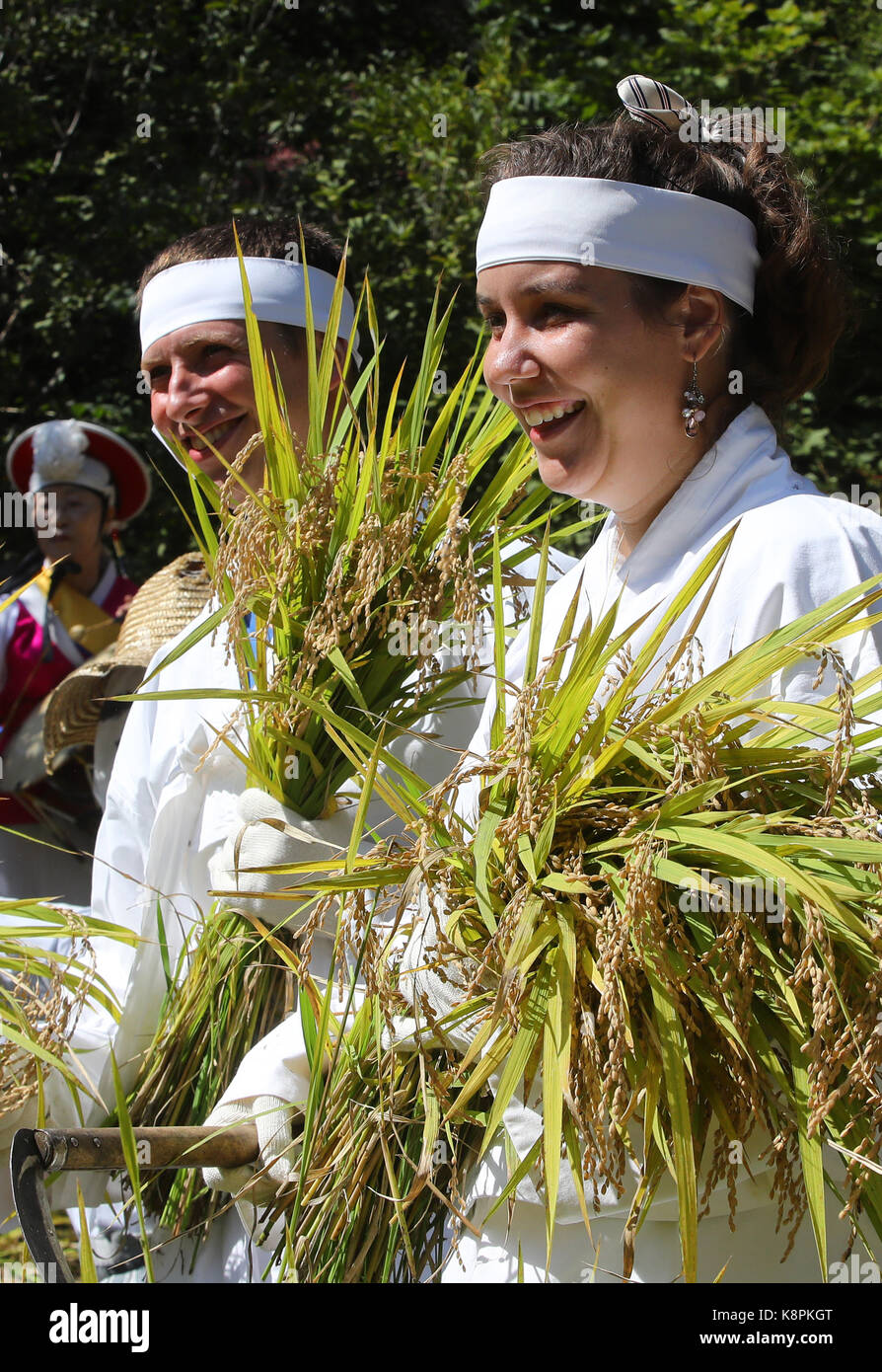 Rice harvesting at royal palace Foreign residents dressed like Korean ...