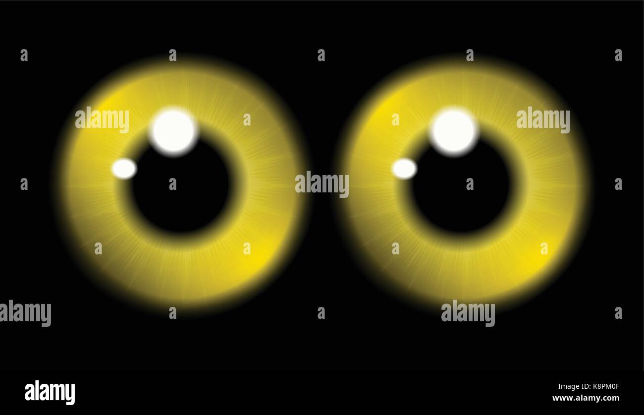 Image of  yellow pupil of the eye, eye ball, iris eye. Realistic vector illustration isolated on black background. Stock Vector