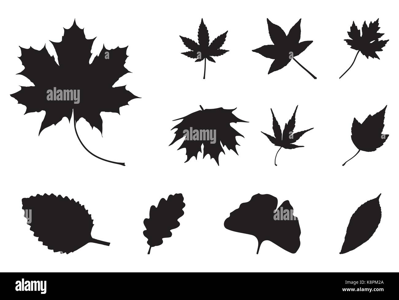 Oak leaf symbol Stock Vector Images - Alamy