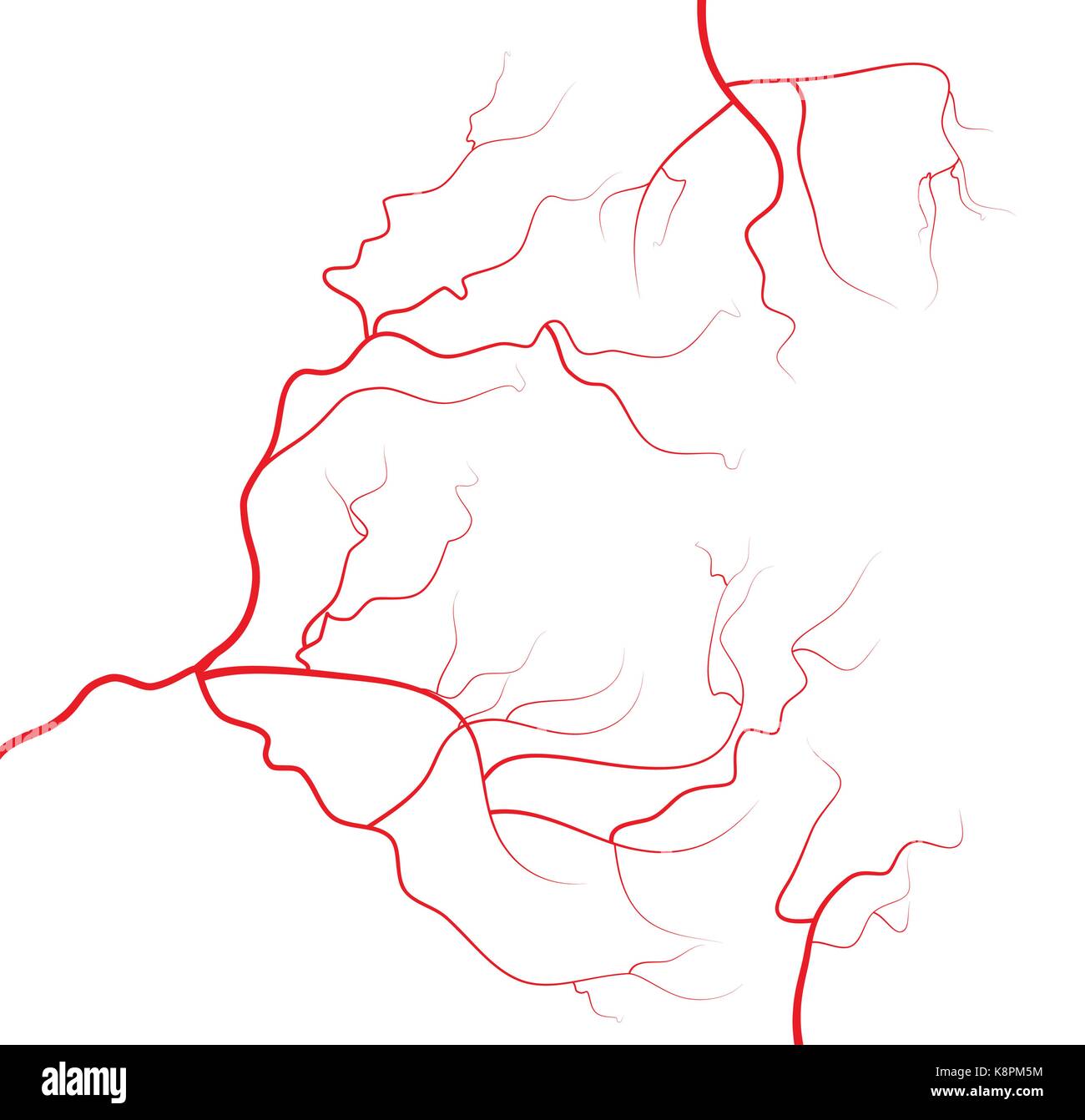 Set of human eye veins, red blood vessels, blood system. Vector illustration isolated on white