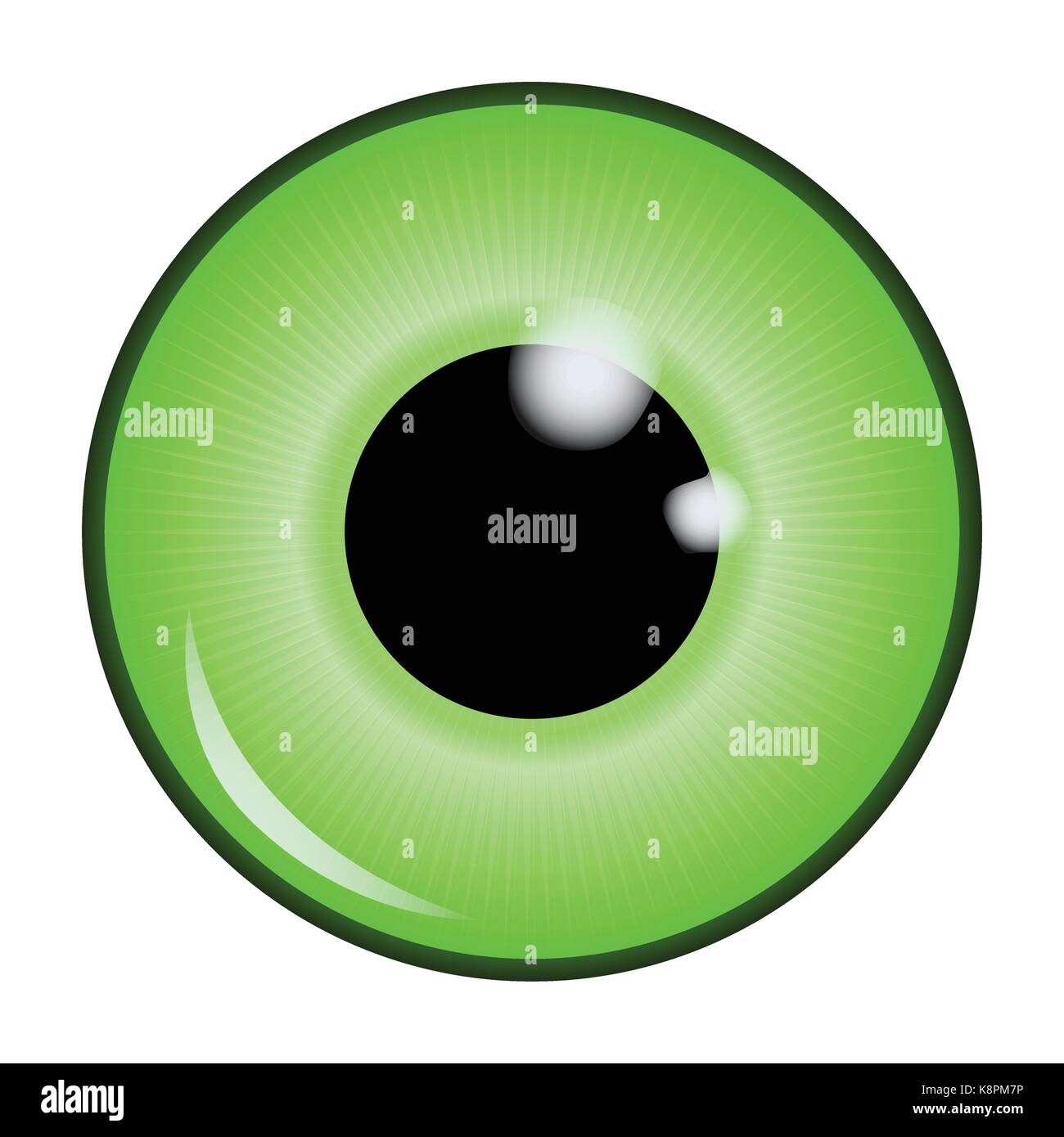 The pupil of the eye, eye ball. Realistic vector illustration isolated