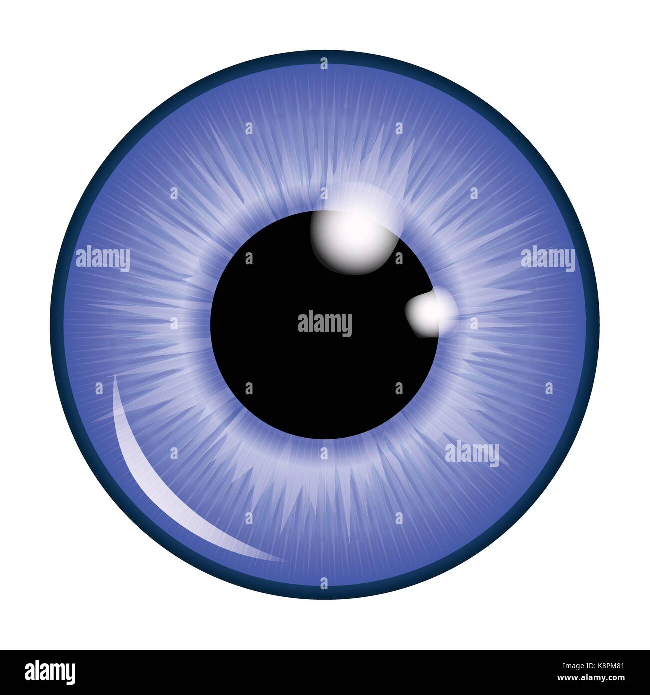 The pupil of the eye, eye ball. Realistic vector illustration isolated ...