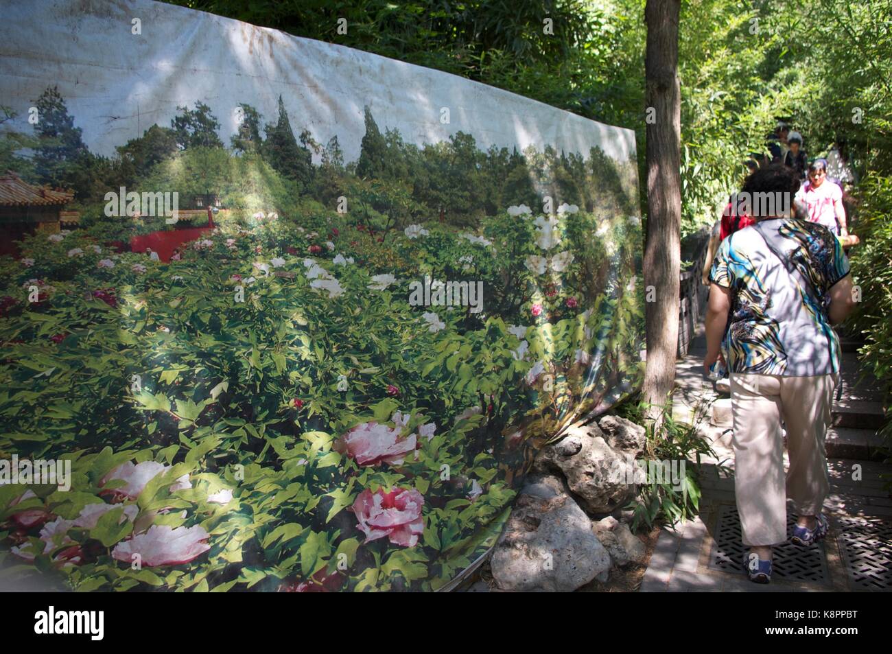 Female tourist walks past decorative floral maintenance covering to top of Jingshan Park in Beijing, opposite the Forbidden City, in summer 2015. Stock Photo