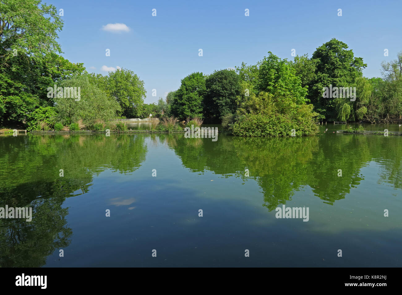 view over boating lake  Alexandra Park, Woods Green, Haringey, London       May Stock Photo