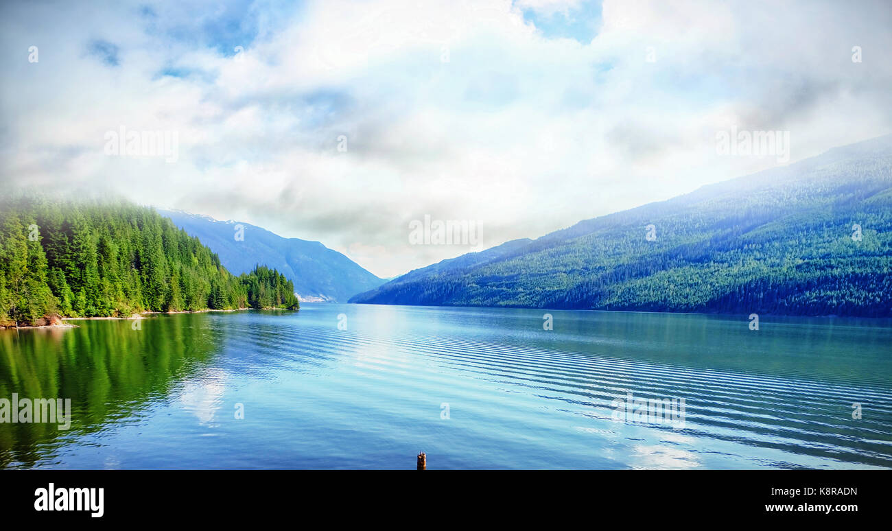 Tech amidst nature hi-res stock photography and images - Alamy