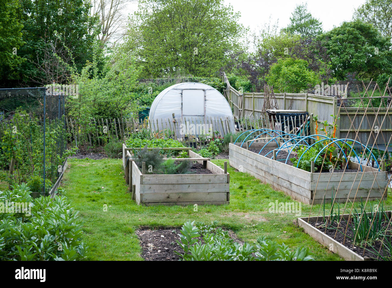 Poly tunnel raised bed hi-res stock photography and images - Alamy