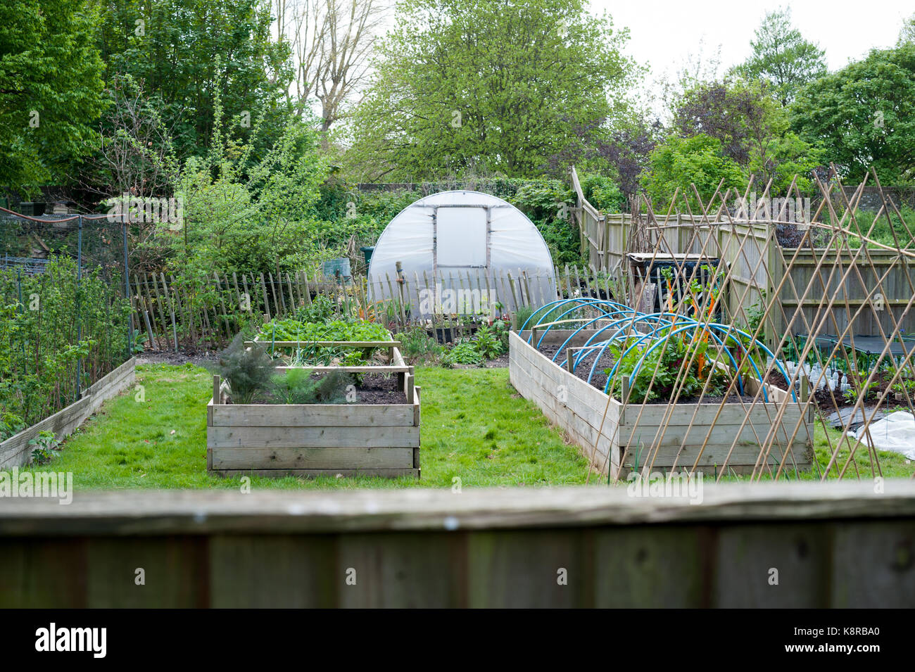 Polytunnel allotment hi-res stock photography and images - Alamy